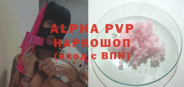 спайс Богданович
