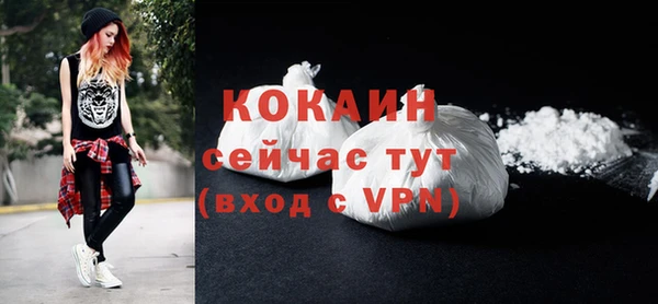 спайс Богданович