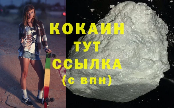 спайс Богданович