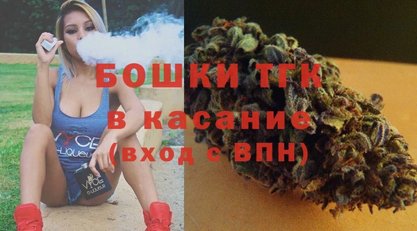 спайс Богданович