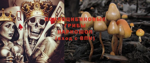 спайс Богданович