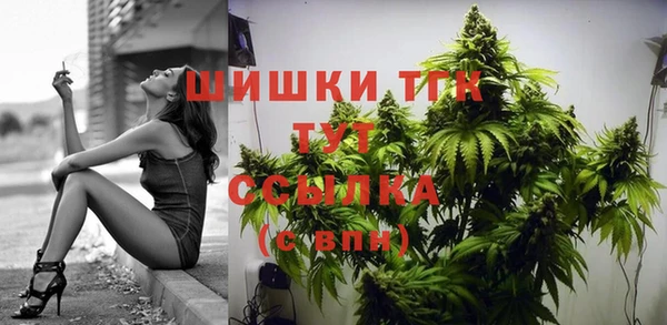 ALPHA-PVP Богородицк